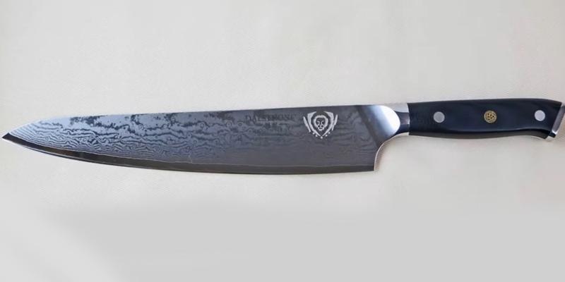 Review of Dalstrong 9,5-Inch Chef Knife