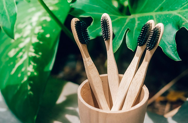 Best Bamboo Toothbrushes  