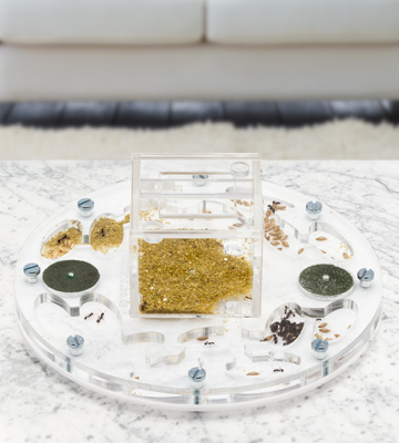 Review of AntHouse Circle Ant Farm Educational Kit Medium with Ants and Queen