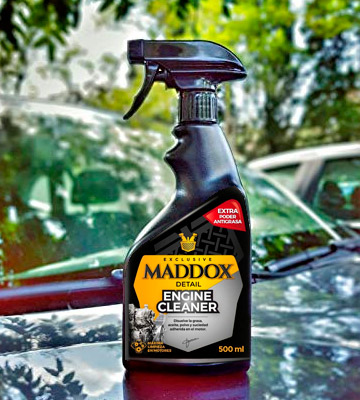 Review of Maddox Detail Detail 40101 Engine Cleaner