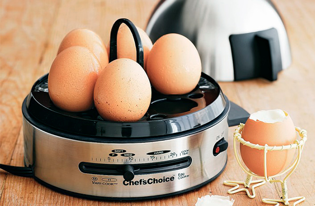 Best Egg Cookers  