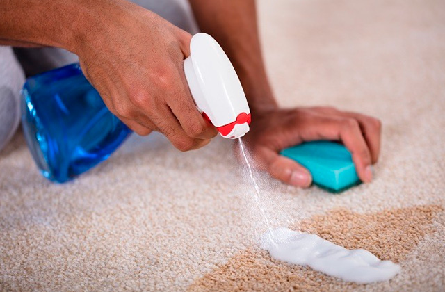 Best Carpet Stain Removers  