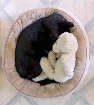 Pecute Oval Washable Plush Cat Bed for Large Cats - Bestadvisor