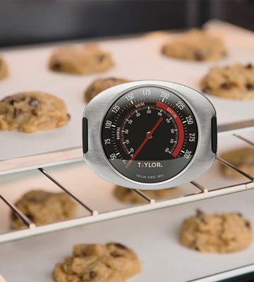 Review of Taylor TYPTHOVENSS Pro Oven Thermometer