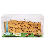 AntHouse Ant Farm Fishbowl with Ants and Queen