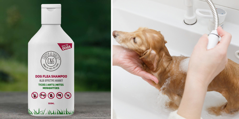 Review of Cooper And Gracie Sensitive Itchy Skin Flea Shampoo Dog and Puppy