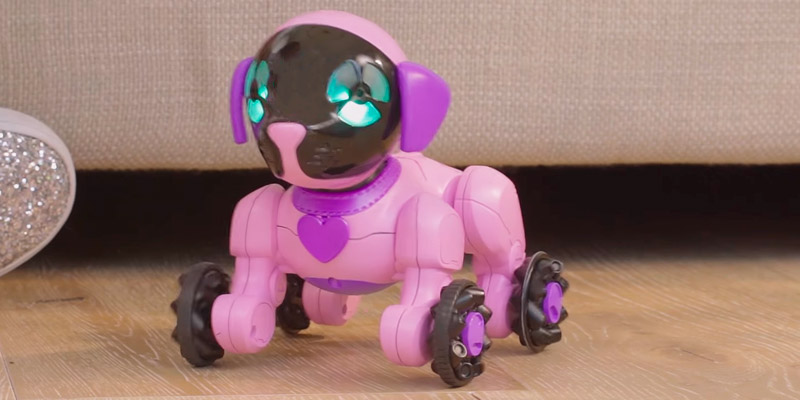 Review of Wow Wee 3817 "Chippies" Robot Dog