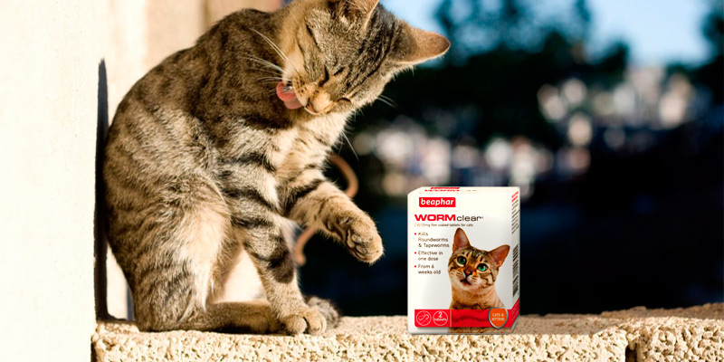 Review of Beaphar 2 Tablets WORMclear for Cats and Kittens