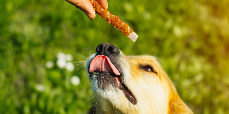 Review of Good Boy Chicken & Rawhide Dog Treats