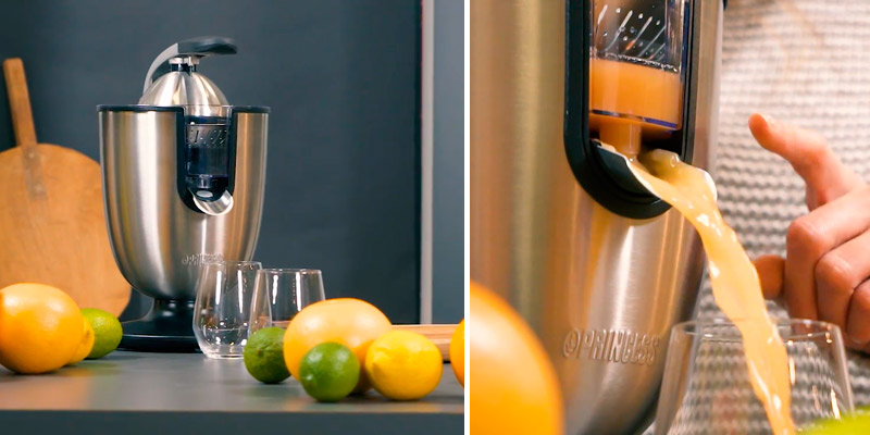 Review of Princess Champion Professional Juicer