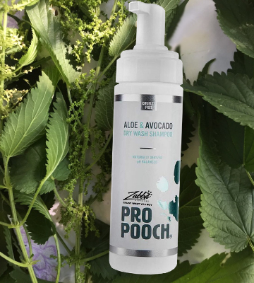 Review of Pro Pooch Dry Shampoo For Dogs