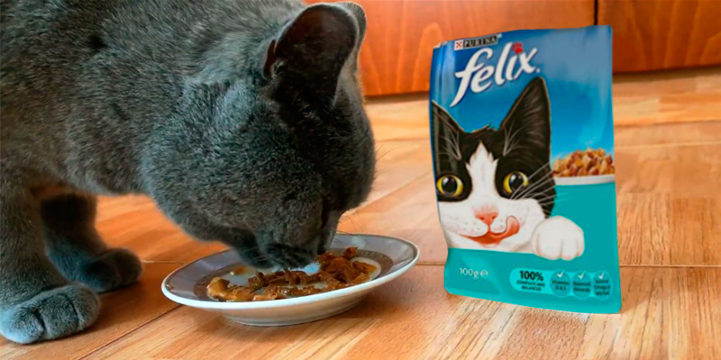 Review of Felix Cat Pouches Fish and Poultry In Jelly and Gravy