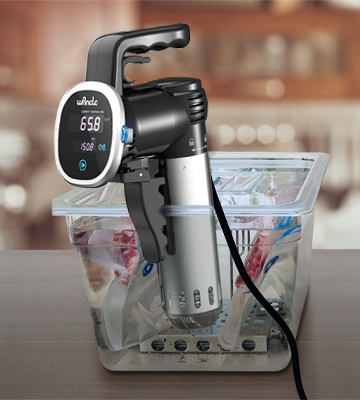 Review of Wancle P00252_SML Sous Vide Precision Cooker Immersion Circulator