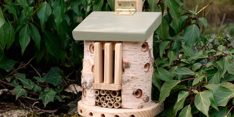 Review of Wildlife World LBT3 Friendly Bug Barn for Butterfly and Other Insects
