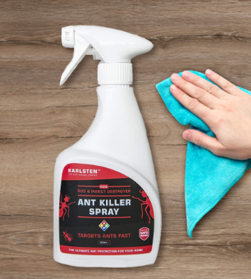 Review of Karlsten Dual Bug Ant Killer Spray
