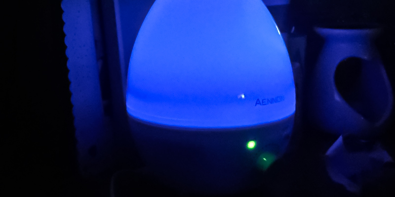 Aennon Cool Mist 2.8L Ultrasonic Humidifiers in the use