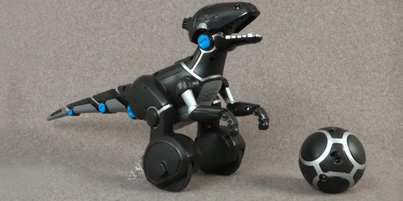 Review of WowWee MiPosaur and Track Ball