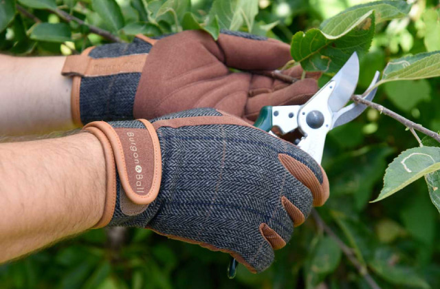 Best Gardening Gloves  