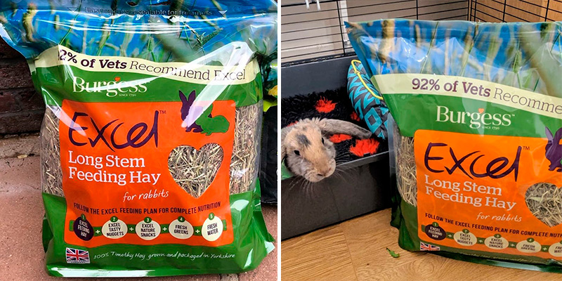 Review of Excel Dandelion and Marigold 1kg Burgess Feeding Hay
