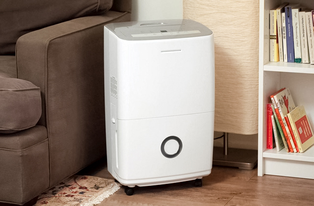Best Dehumidifiers for Your Breathing Comfort  