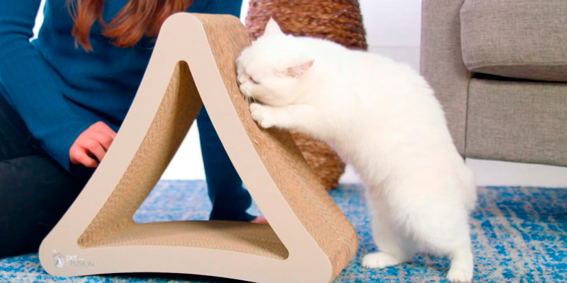 Review of PetFusion 3-Sided Vertical Cat Scratching Post