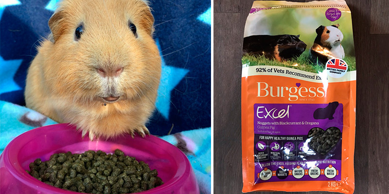 Review of Excel Blackcurrant and Oregano, 2 kg Burgess Guinea Pig Nuggets