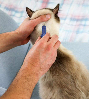 Review of FRONTLINE Spot On Flea & Tick Treatment for Cats