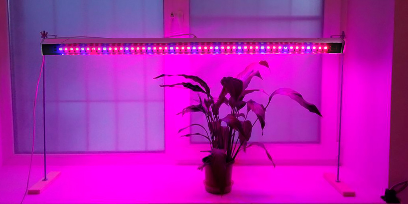 Review of Woputne bulit-in timer, 48 leds Grow Light Bar