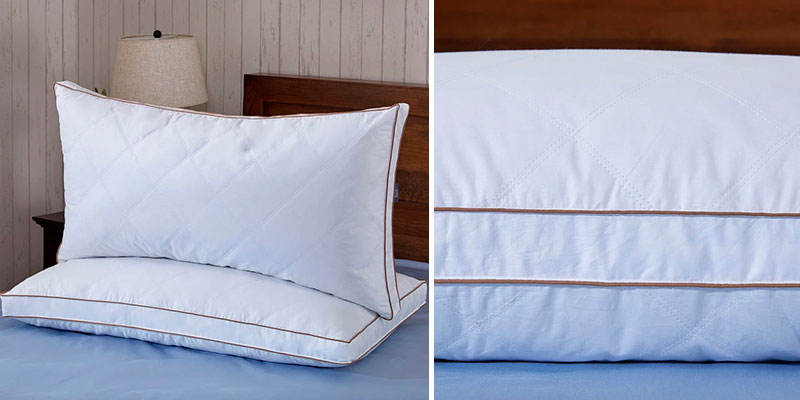Review of puredown Pack of 2 Goose Feather Pillows for Deep Sleeping