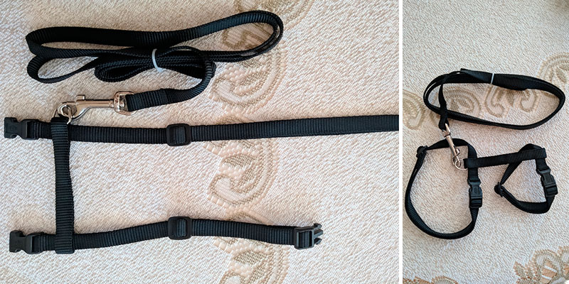 Review of TRIXIE Pet Products 41960 Cat Set of Harness and Lead