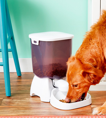 Review of Pet Mate C3000 Automatic Dry Food Feeder