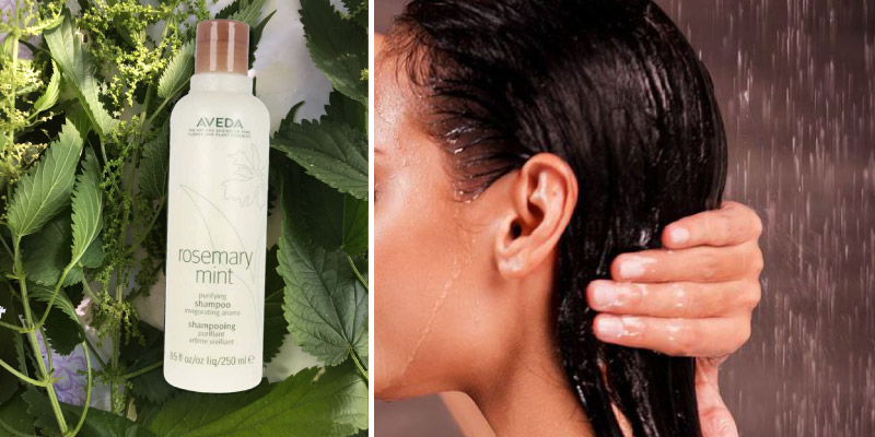 Review of Aveda Rosemary mint Purifying Shampoo