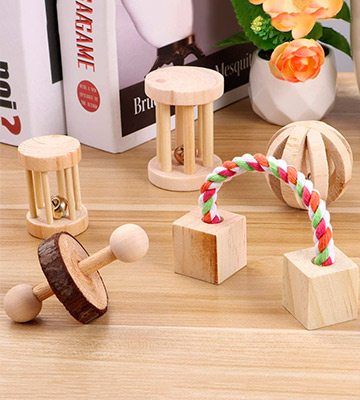 Review of POPETPOP 5PCS Natural Wooden Play Chew Toys for Bunny Rabbits