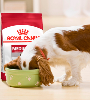 Review of ROYAL CANIN Medium Dog Food Adult
