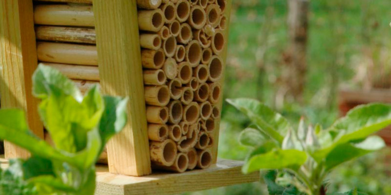 Review of Wild on Wildlife WA02 Esschert Design Wood Bee House