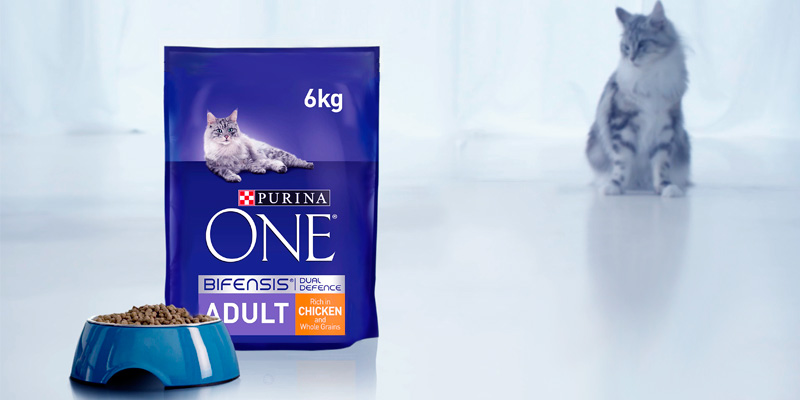 Review of Purina ONE Adult Cat Food Chicken & Wholegrains