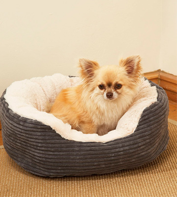 Review of Rosewood Jumbo Cord/Plush Dog Bed