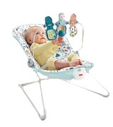 Fisher-Price GPH13 Baby's Bouncer