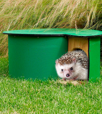 Review of Wildlife World Hogilow Hedgehog Home