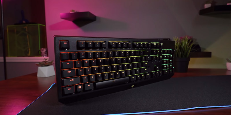 Review of Razer BlackWidow (2019) Mechanical Gaming Keyboard (RGB Chroma Enabled)