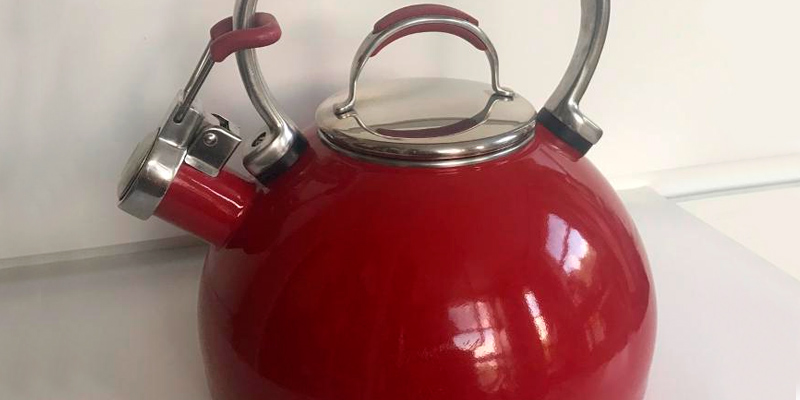 Review of Prestige PR50558, 2 L Stove Top Whistling Kettle