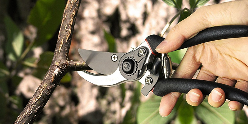 Review of SHINE HAI UK201-BS01-1 Bypass Secateurs