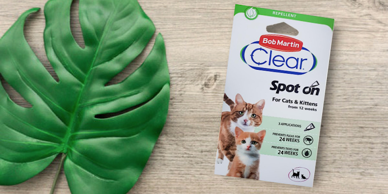Review of Bob Martin Clear 24 Weeks Repellent Protection Flea and Tick Spot for Cats