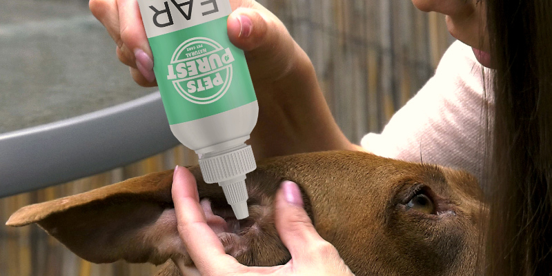 Review of Pets Purest Anti Viral Anti Fungal Ear Cleaner For Dogs Wash