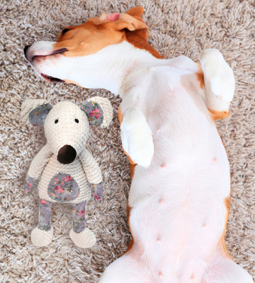 Review of Rosewood Maisie Mouse Dog Toy