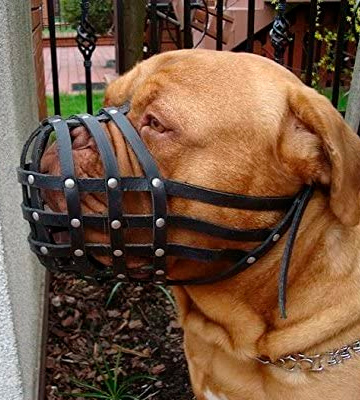 Review of L&J Pets Uk Light leather Dog Muzzle