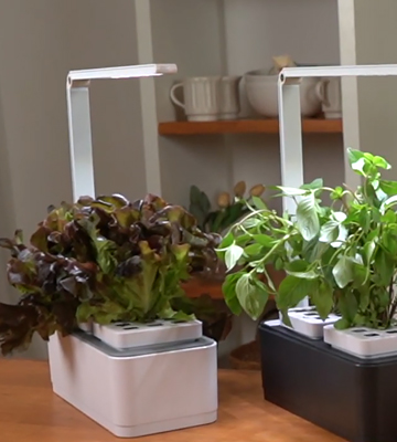 Review of amzWOW Clizia Smart Garden - hydroponics growing kits