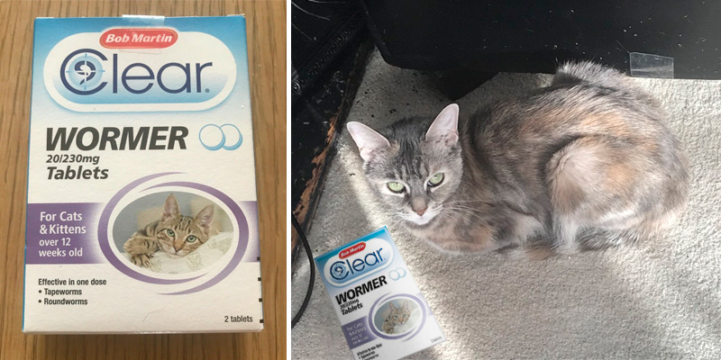 Review of Bob Martin Clear Tablets Wormer for Cats and Kittens