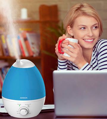 Review of Aennon Cool Mist 2.8L Ultrasonic Humidifiers