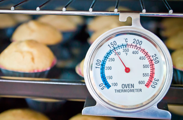 Best Oven Thermometers  